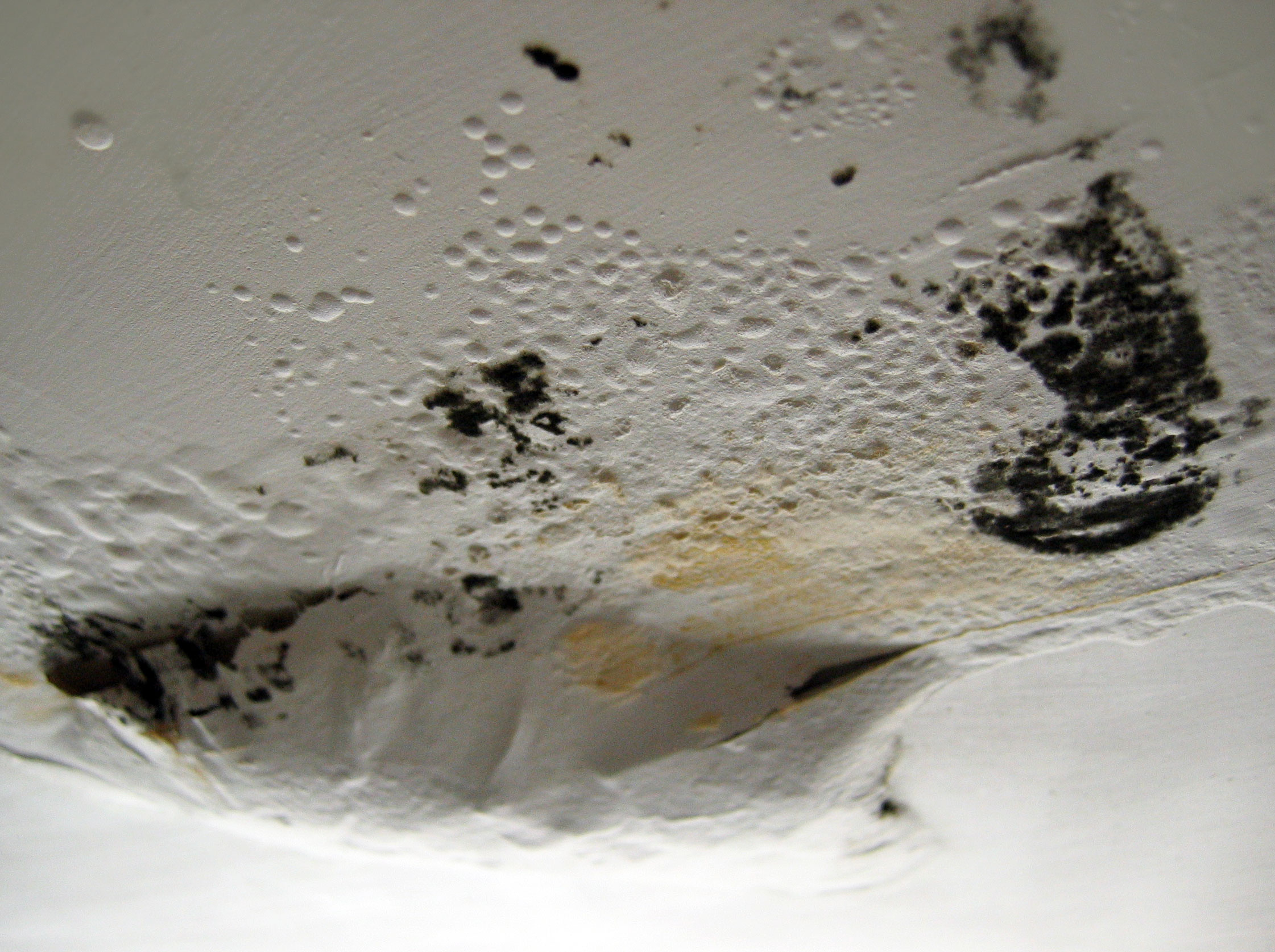 black mold