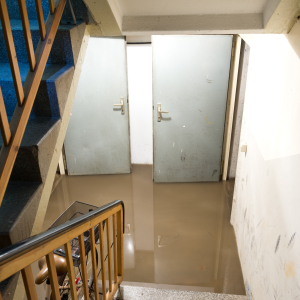 Water Damage in Orlando, FL